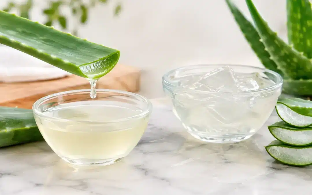 Aloe vera sap versus gel: diferencias reales